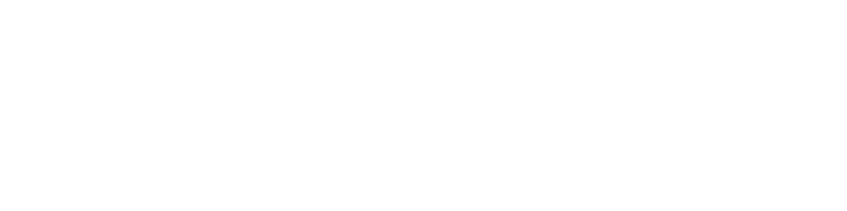 Energica logo